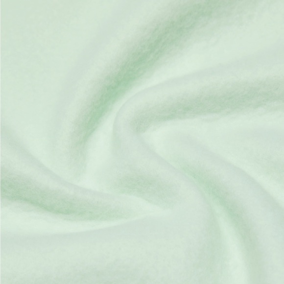 Aritzia Cozy Fleece Boyfriend Boxy Zip Hoodie – Mint Green (XS) - Picture 9 of 9